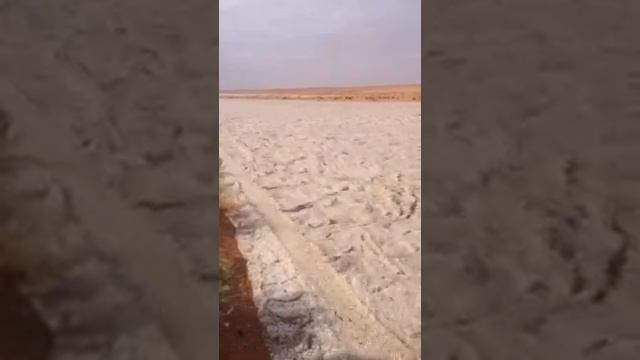 Dubai Pearls river must watch смотреть онлайн