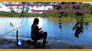 Путешествие в Бразилию. "Потрясающая рыбалка в Бразилии".