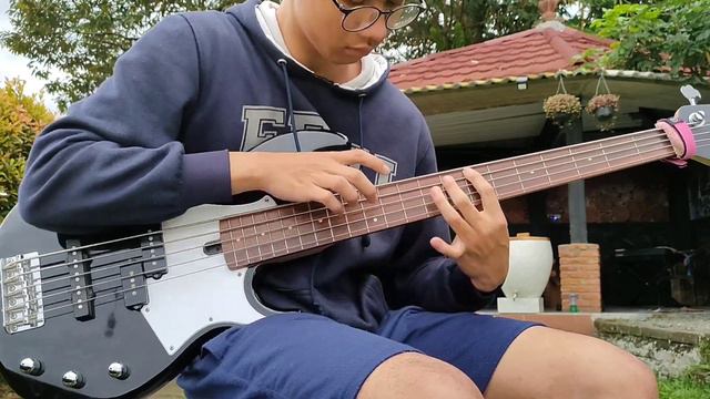 beethoven - moonlight sonata 3rd movement (bass cover) смотреть онлайн