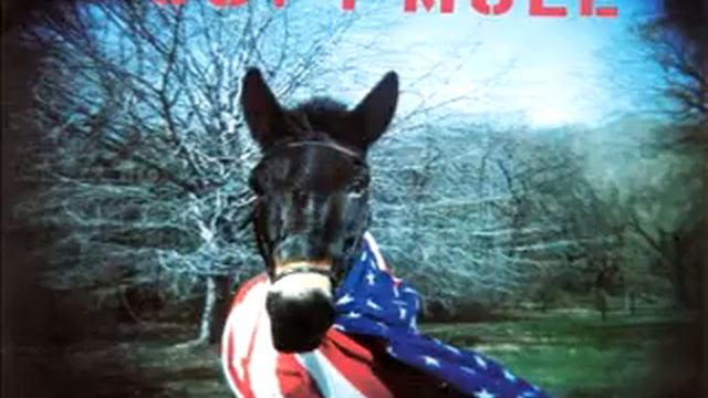 Gov't Mule - Painted Silver Light смотреть онлайн