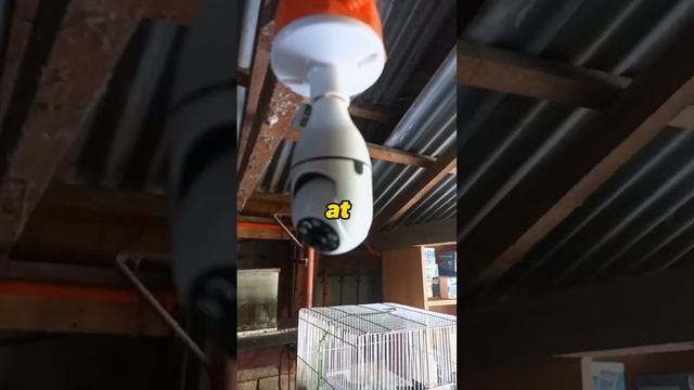 CCTV CAMERA V380 PRO TIKTOK SHOP смотреть онлайн