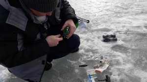 Ледобур Тонар Helios Хелиос 110 .