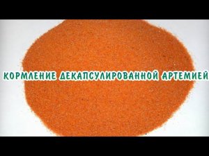 КОРМЛЮ МАЛЬКОВ ДЕКАПСУЛИРОВАННОЙ АРТЕМИЕЙ