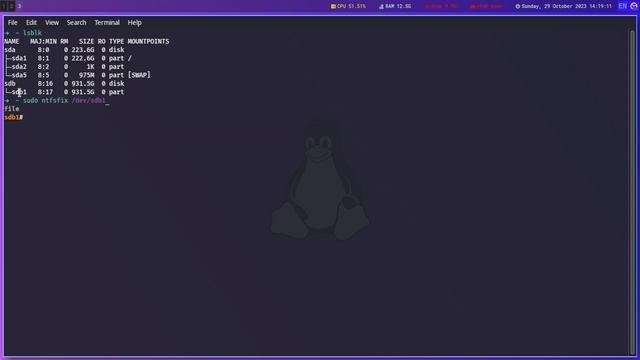 Solution for "Error mounting /dev/sdb1 at /media/" on linux distro смотреть онлайн