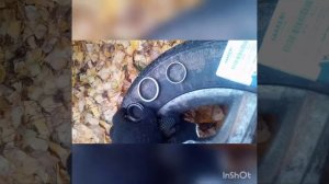 TOYOTA TOWN ACE Замена ступечного подшипника  1997г