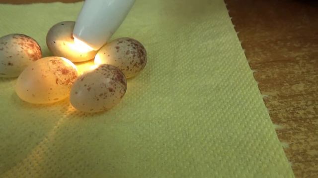 пустая кладка смотреть онлайн