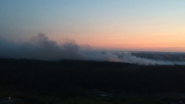 25.08.2021 горит лес Тольятти смотреть онлайн