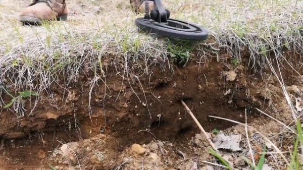 Тест новой катушки Magic Lab13 на Fisher f22 с Quest Q20