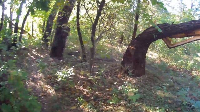 Рыбалка с ночевкой в Николаевке. Первый сом. смотреть онлайн