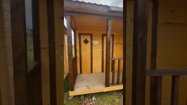 Выставка хоз построек и домов смотреть онлайн