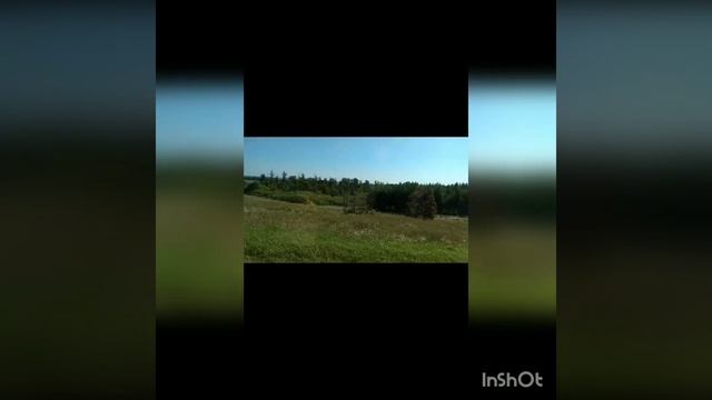 марийская музыка с исполнением песни#мелодиядуши#роднойкрай# смотреть онлайн