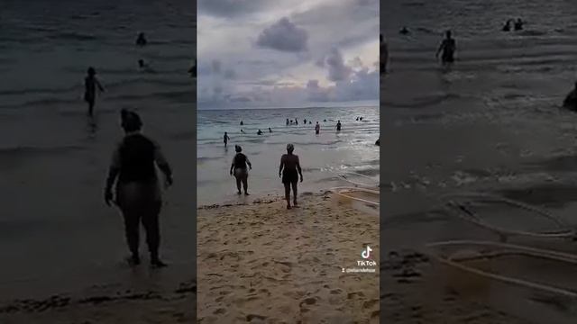 Life's a beach смотреть онлайн