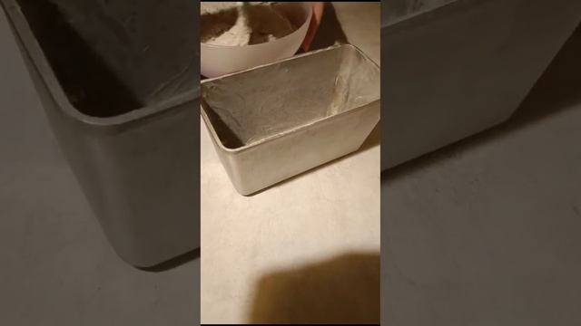 Rutube_account_1213182