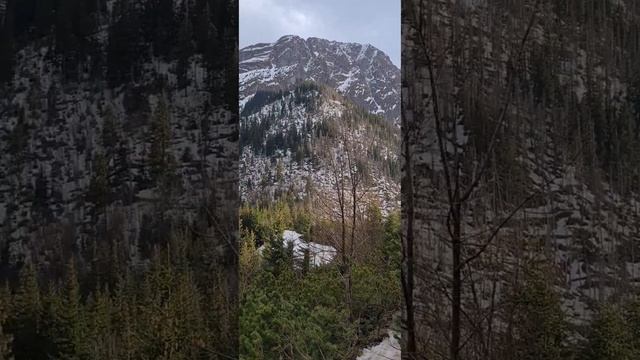 Горы. Татры. Закопане. смотреть онлайн
