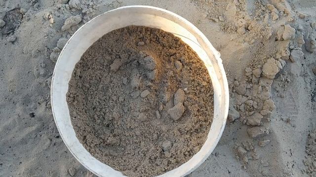 Выращивание голубики в вёдрах. Весенняя посадка саженцев. Как составить грунт для голубики. смотреть онлайн