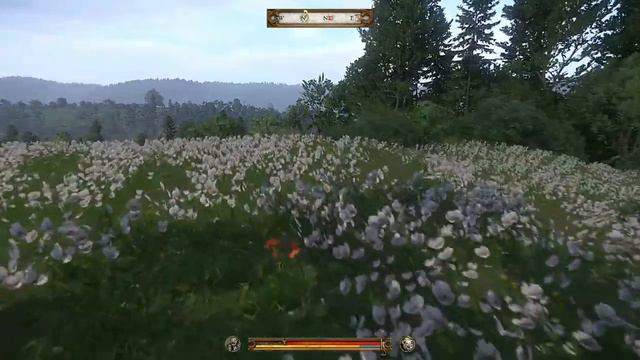 Kingdom Come Deliverance Bandage Bleeding смотреть онлайн
