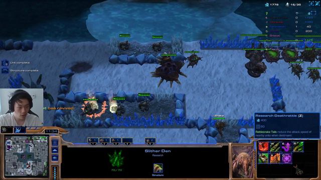 [Starcraft 2 Arcade] Cats n Critters: Undisturbed Snake for 10 minutes = Unbreakable Early Base смотреть онлайн