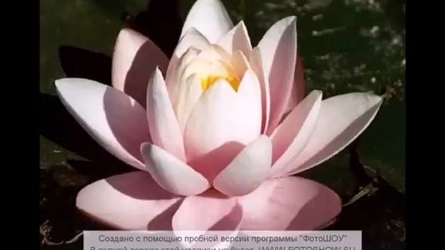 Snatam Kaur - So Mai Visar Na Jaa-ee смотреть онлайн