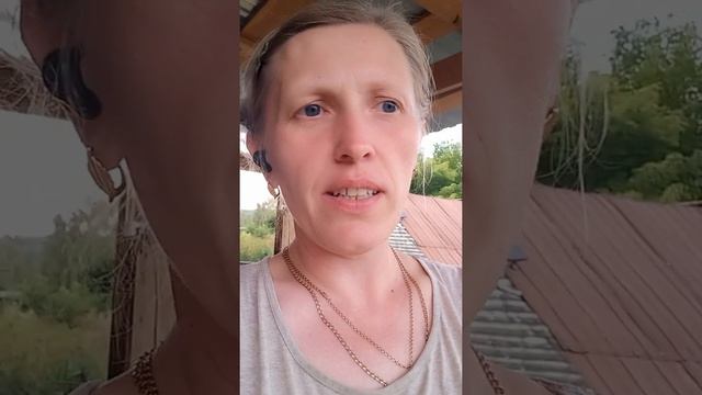 ?у гусей опускаются крылья... что делать?? смотреть онлайн