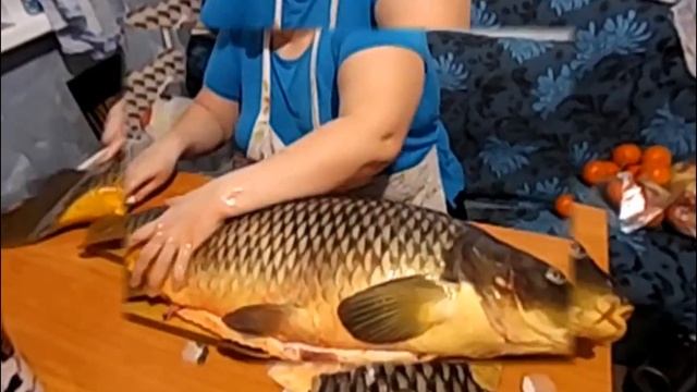 Моя САМАЯ-САМАЯ КРУПНАЯ РЫБА, Карп 13кг..(слайдшоу) смотреть онлайн