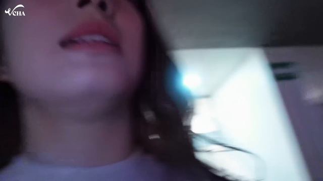 VCHA-log | VCHA In Mexico