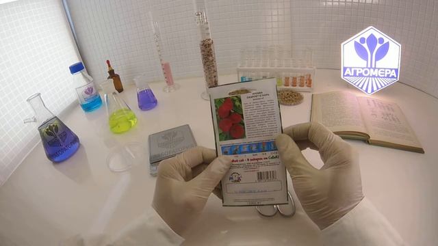 Ипомея Скарлет О`Хара. Седек смотреть онлайн