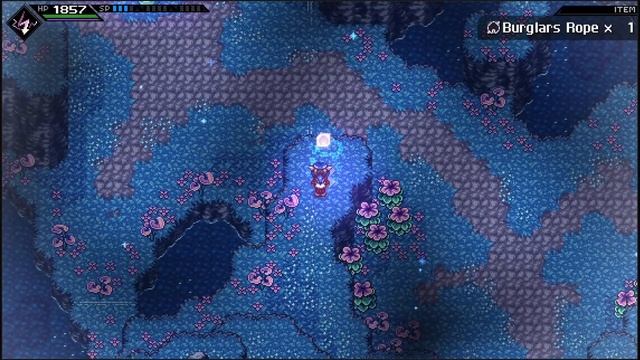CrossCode Sapphire Ridge - 40 Chests Guide (updated)