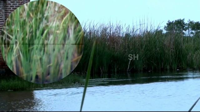 LONG RANGE‼️ DI SAAT ANGIN KENCAN (RESKAL 1 vs JAVA EVO) смотреть онлайн