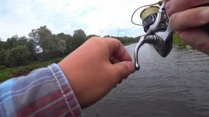 Уговорить трофейного Голавля! Рыбалка на волкер!