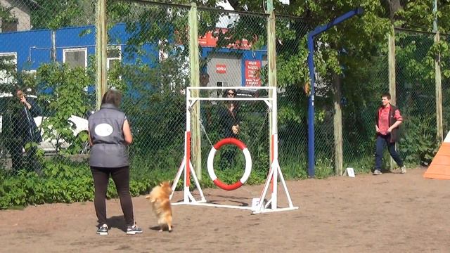 A1 Small-1 Оралова Ирина и шпиц Тина