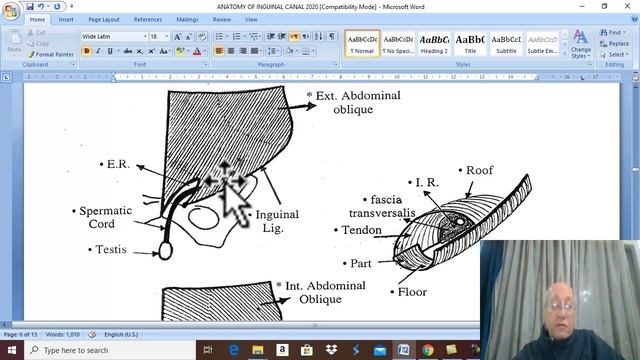 Anatomy GIT module 2020 ( Inguinal canal , part 1) , by Dr. Wahdan смотреть онлайн