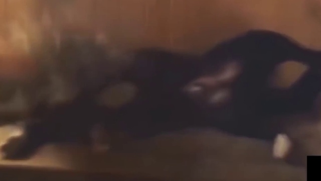 Приколы. Win & Fails #1. смотреть онлайн