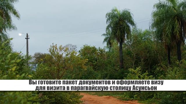 Гражданство Парагвая после оформления ПМЖ за депозит Преимущества, условия и сроки смотреть онлайн