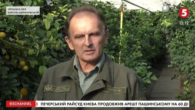 Чи буде лимонний ліс на Черкащині? смотреть онлайн