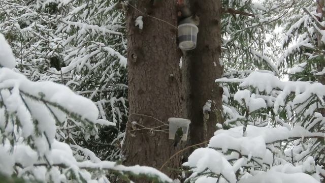 №2946 01 01 2023 Завтрак продолжается смотреть онлайн