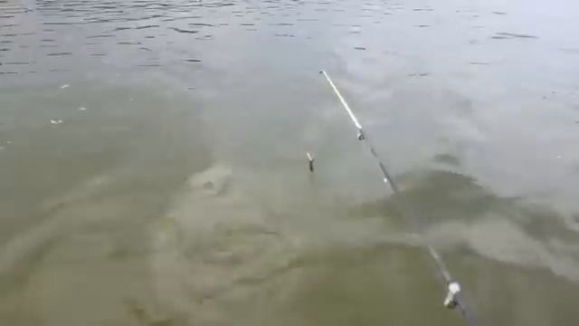 МСК Скидка 50% на рыбалку смотреть онлайн