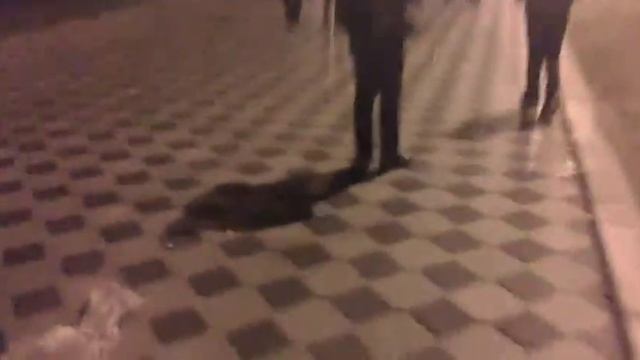 Обзор города Ширван, 31.12.2012 смотреть онлайн