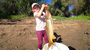 ВО ДАЁТ! РЕБЁНОК ЛОВИТ САЗАНА С ПАПОЙ. Рыбалка на закидушки с макухой. Рыбалка на поплавок.