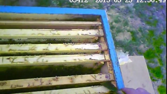 Моя пасека (Пасека начинающего пчеловода) смотреть онлайн