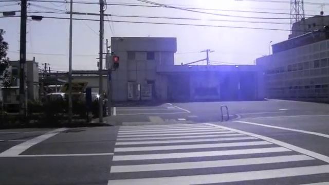 Nikon COOLPIX P100 Movie Test #01