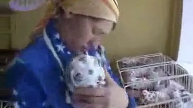 Весело.ЭТО РЕКОРД.Женщина родила 10 детей. Можете так?.Посмотрите это реальность.Шок. смотреть онлайн