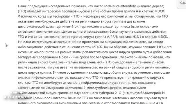 МАСЛО ЧАЙНОГО ДЕРЕВА против ВИРУСОВ смотреть онлайн