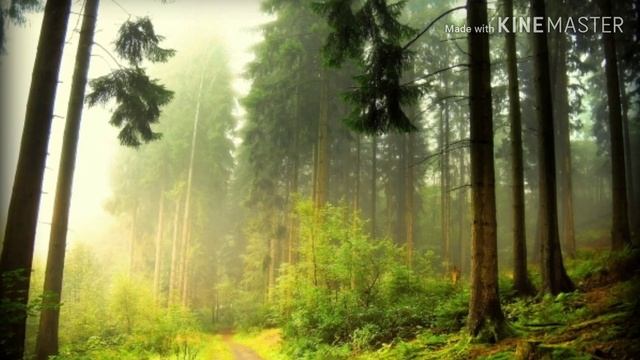 Мышечная релаксация по Джекобсону смотреть онлайн