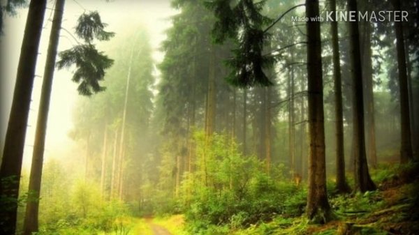 Мышечная релаксация по Джекобсону