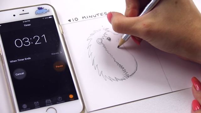 SPEED DRAWING CHALLENGE : 10 Min / 1 Min / 10 Sec - Hedgehog | SoCraftastic смотреть онлайн