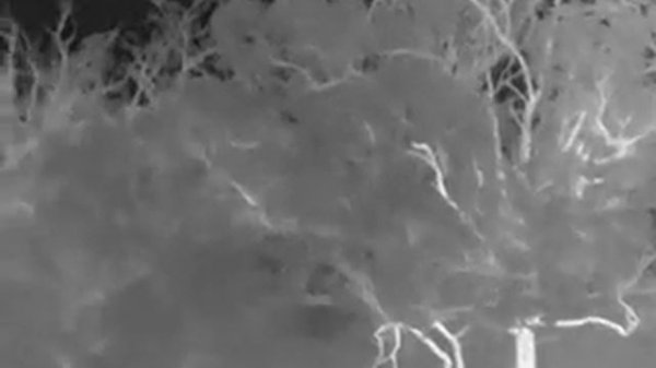 TrackIR Guide 50mm Thermal Spotter Day Time - Play time