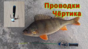 ПРОВОДКИ ЧЁРТИКА