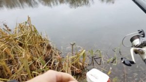 Ловля щуки на живца в сентябре! Рыбалка на поплавок осенью