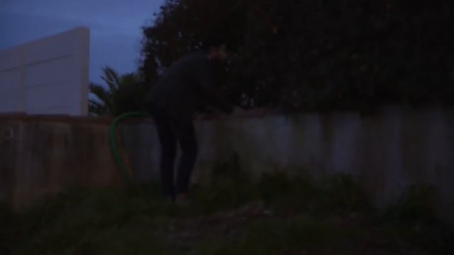 Enfants de gitans : Une vie de roi смотреть онлайн