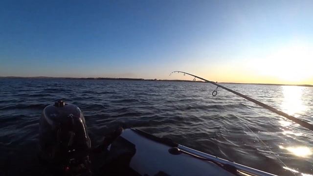 Окунь на отводной на Верхнеуральском водохранилище.